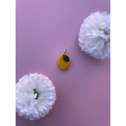 Charms Citron argenté