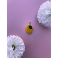 Charms Citron argenté