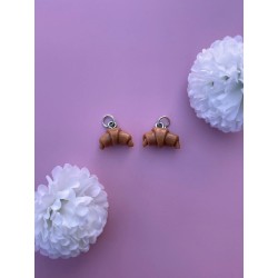 Boucles d’Oreilles...