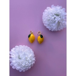 Boucles d’Oreilles...