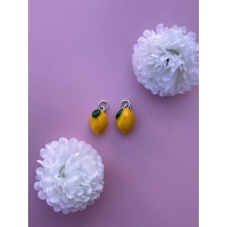 Boucles d’Oreilles...
