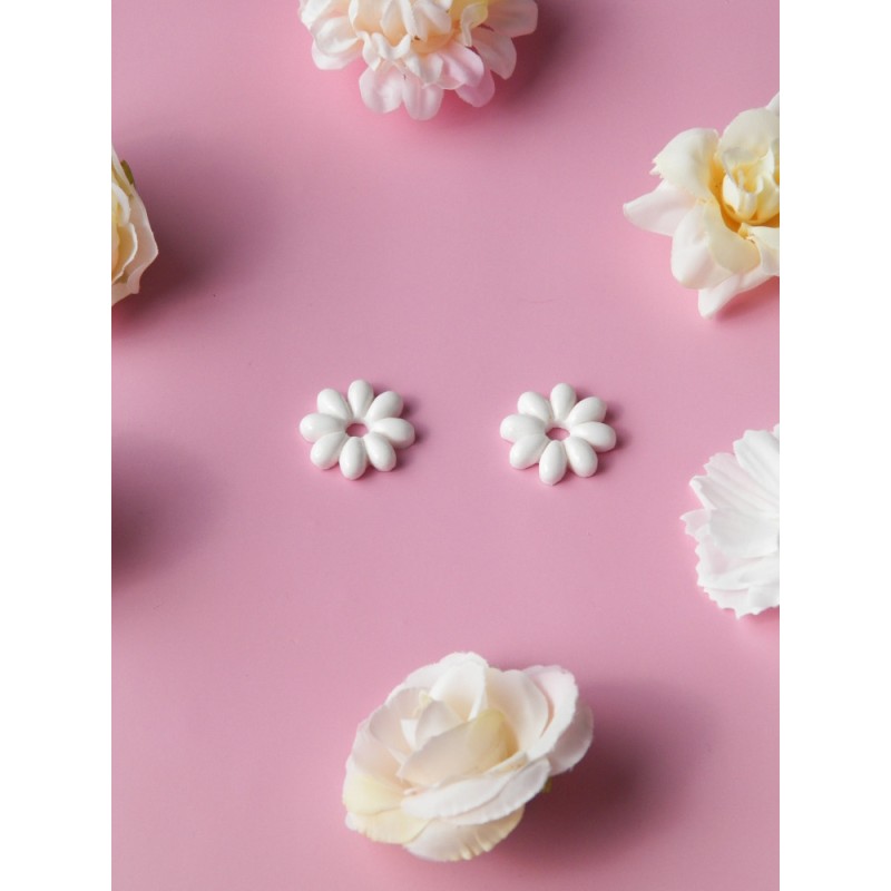 Pampilles Marguerite du printemps